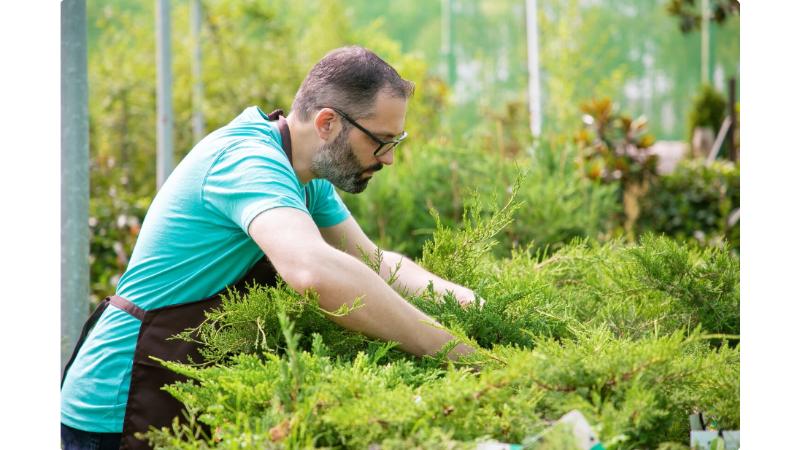 Top Benefits of Choosing Sir Grange Zoysia Turf for Residential Landscapes